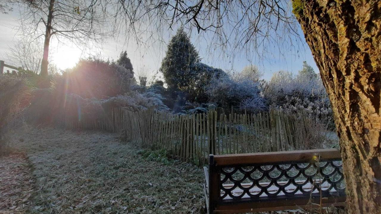 Gite Les Sittelles Tenneville Exterior photo